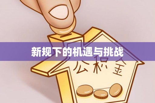 石阡新规下的机遇与挑战