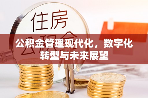 石阡公积金管理现代化，数字化转型与未来展望