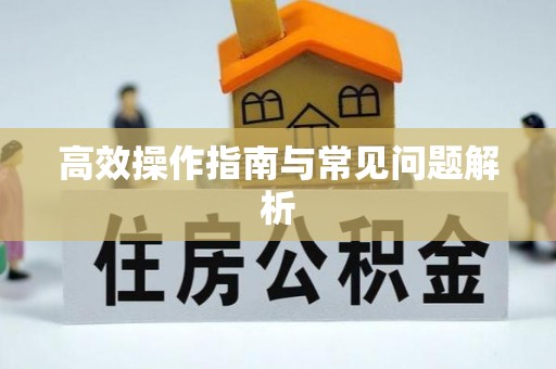 石阡高效操作指南与常见问题解析