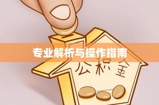 石阡专业解析与操作指南