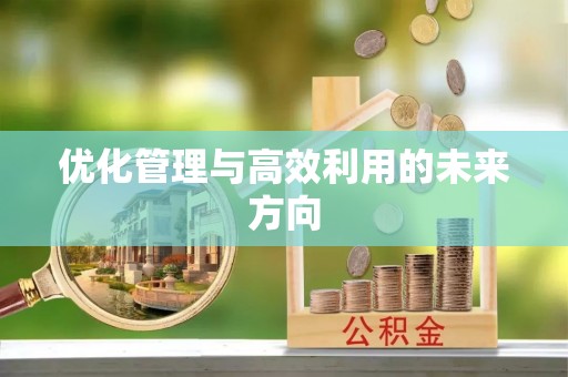 石阡优化管理与高效利用的未来方向