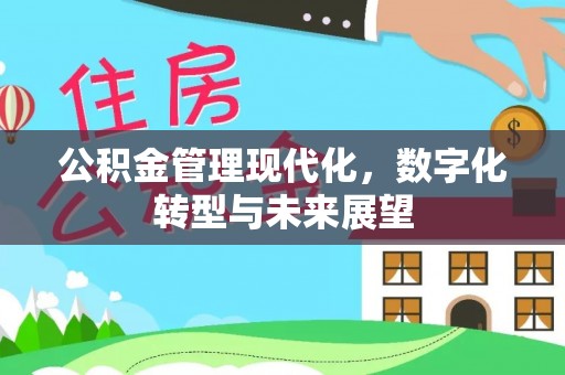 石阡公积金管理现代化，数字化转型与未来展望