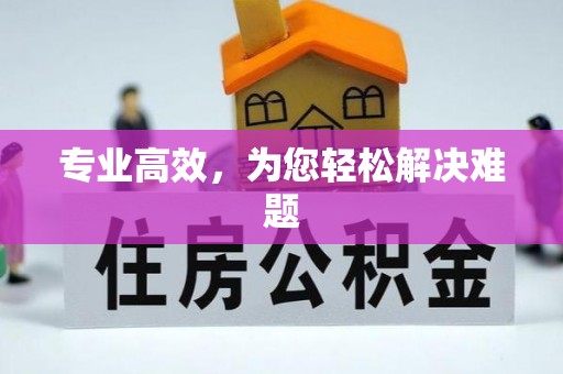 石阡专业高效，为您轻松解决难题