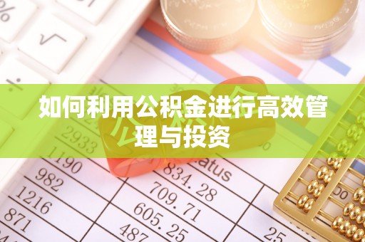 石阡如何利用公积金进行高效管理与投资