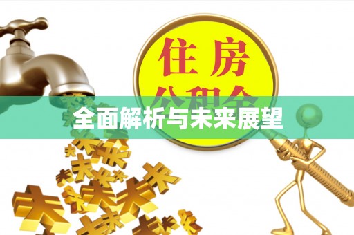 石阡全面解析与未来展望