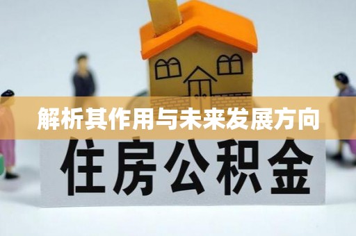 石阡解析其作用与未来发展方向