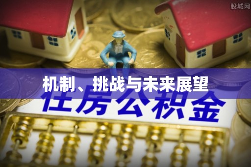 石阡机制、挑战与未来展望