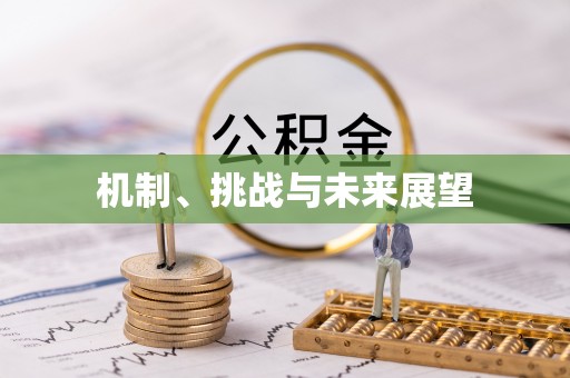 石阡机制、挑战与未来展望