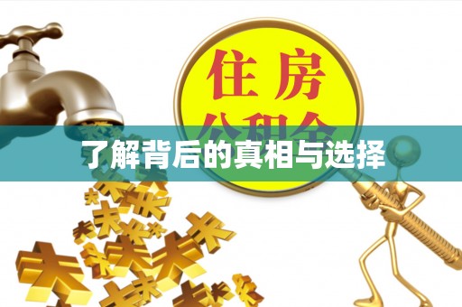 石阡了解背后的真相与选择